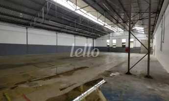 Imagem 3: São Bernardo do Campo - Galpão/Depósito/Armazém - Parque São Pedro