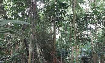 Imagem 5: Terreno documentado com floresta e igarapé Estrasa Santarém Alter do chão