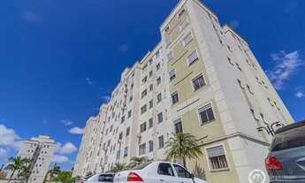 Imagem 5: Apartamento para Locação/Aluguel - 62m², 3 dormitórios, 1 vaga - Sarandi