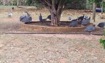 Imagem 2: Sítio a venda em angatuba