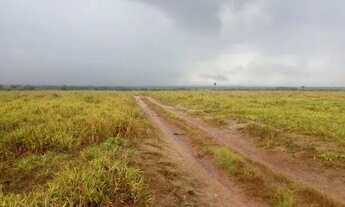 Imagem 2: FAZENDA NEGOCIO DE OPORTUNIDADE!!!