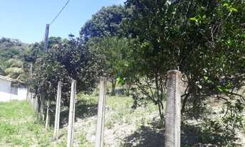 Imagem 4: Grande oportunidade - chacara com 4000 metros quadrados