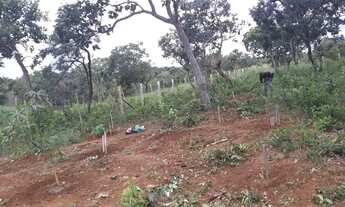 Imagem 2: VENDE-SE LOTE EM MATEUS LEMES 12 P/ 36