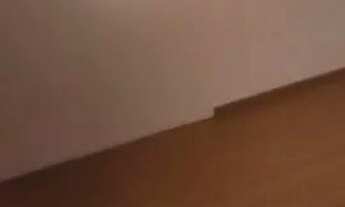 Imagem 5: Casa e comercio, cel