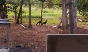 Imagem 5: Locação casa por Diária