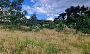 Imagem 6: Terreno rural próximo de Urupema-SC