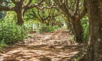 Imagem 6: Terreno - Santa Úrsula - Jaguariúna