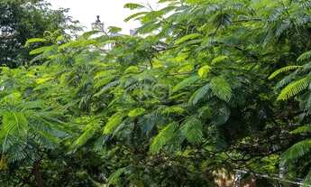 Imagem 4: Apartamento para Venda - 65m², 2 dormitórios, 1 vaga - São João