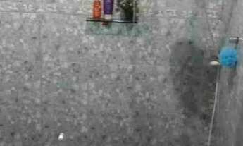 Imagem 7: Vendo ótima casa