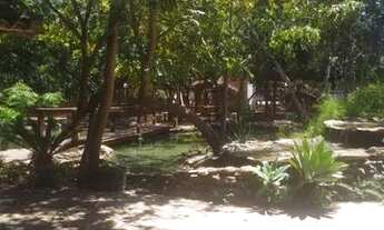 Imagem 5: Vendo Chacara em Indiara