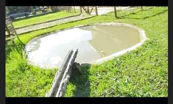 Imagem 6: Espetacular Fazenda 42.5 hect. Município Santo Antônio à 30 km Outlet Premium