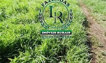 Imagem 4: Chácara 2,5 Alqueires