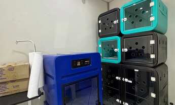 Imagem 7: Passo Banho e Tosa em Navegantes