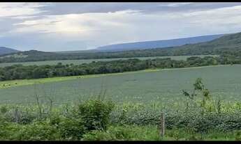 Imagem 4: Vende-se uma excelente fazenda