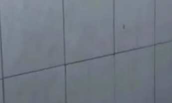 Imagem 3: Vendo no setor O, Qno 15