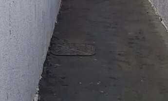 Imagem 4: Casa com 03 QTs, Suíte, Jardim Presidente