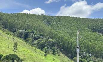 Imagem: Sítio com 12 ha sendo 6,5 de eucaliptos