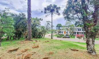 Imagem 2: TERRENO ESQUINA À VENDA ALTOS PINHEIROS/ CANELA