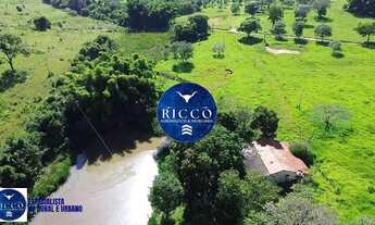 Imagem: Fazenda à Venda em Cezarina 20 Alqueires