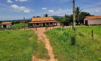 Imagem: Venda de excelente fazenda em Manga -MG