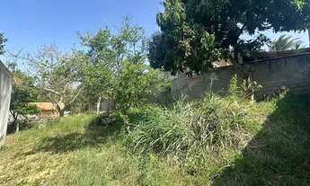 Imagem 3: DOIS LOTES 954-978