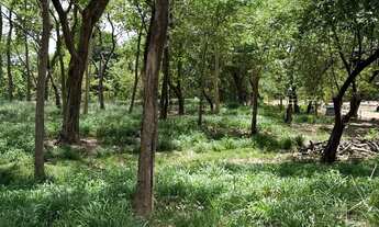 Imagem 2: Chacara às margens do rio Cuiabá dentro da cidade!