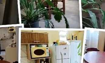 Imagem: CASA POR TEMPORADA EM EXCELENTE LOCALIZAÇÃO