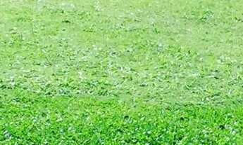 Imagem 5: Belíssimo sítio para locação ?. 3 mil