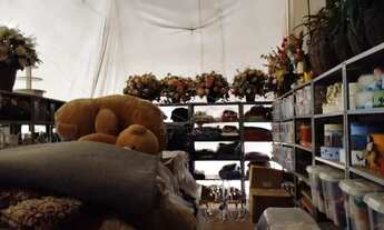 Imagem 4: ÓTIMO BARRACÃO PARA INVESTIMENTO!! ÓTIMA LOCALIZAÇÃO!!