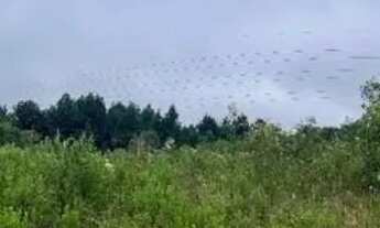 Imagem 6: Chácara rural Colombo - (Curitiba) PR