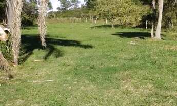 Imagem 2: Terreno à venda, 6000 m² (20×300) por R$ 310.000,00 - Três Vendas - Pelotas/RS! Adquira o