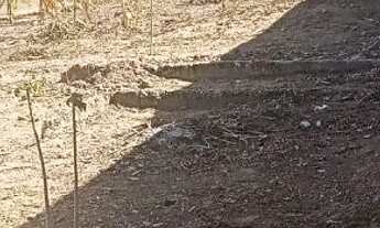 Imagem: Lote 360 m² em Esmeraldas