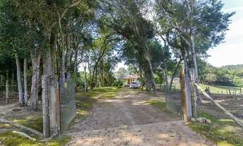 Imagem 2: Vendas Chácara Mandirituba PR