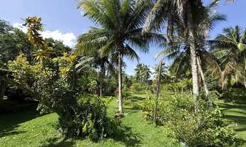 Imagem 3: Fazenda/Sítio/Chácara para venda possui 200 metros quadrados com 3 quartos