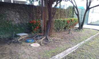 Imagem 3: Casas em Cajueiro Seco