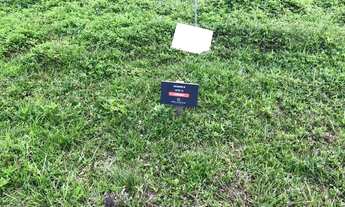 Imagem 7: Terreno - Florianópolis SC