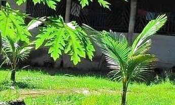 Imagem 7: Chacara Chácara com venda por R$900