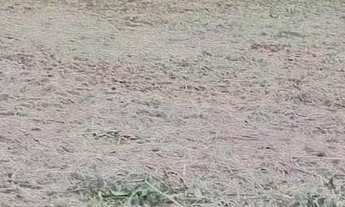 Imagem: VENDO TERRENO EM MANACAPURU