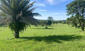 Imagem: Ocasião Chácara 1,20 alqueires, Itaberaí