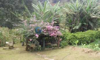 Imagem 6: Chácara para venda em Santo Antônio do Pinhal - 4.000m²