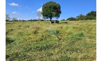 Imagem 2: CHÁCARA À VENDA BUARQUE DE MACEDO