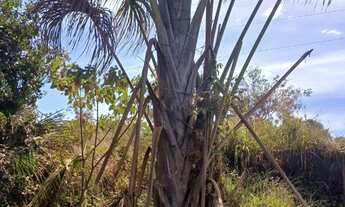 Imagem 2: Vendo Chacara em Aragoiania 1000m² Escriturada com Ribeirão. Aceito carro ou moto parte PG