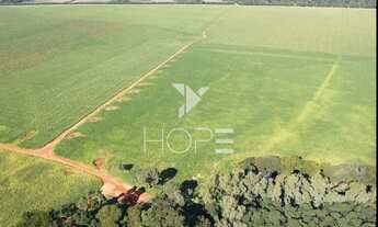 Imagem 6: Fazenda à venda 606 alqueires Santa Cruz de Monte Castelo/PR