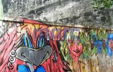 Imagem 2: Terreno Liberdade