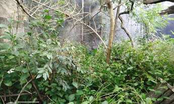 Imagem 4: Terreno à venda no Parque Cruzeiro do Sul, SP com área de 224m² - São Paulo/SP