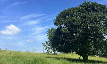 Imagem 7: Última oportunidade para 1ª quinzena de janeiro!