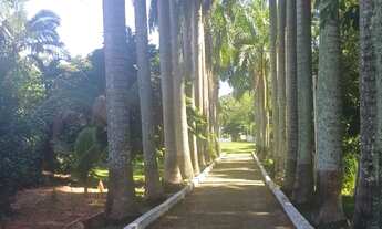 Imagem 3: Casa 4 quartos 3 suite energia solar condominio adventista