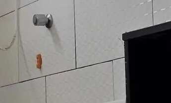 Imagem 3: Casa em São Caetano