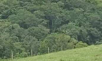 Imagem 3: Chácara de 7 Alqueires em Heitoraí-GO