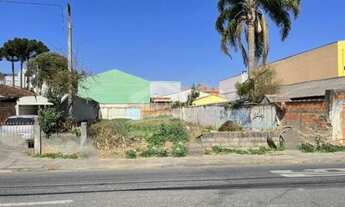 Imagem 3: Terreno - Afonso Pena